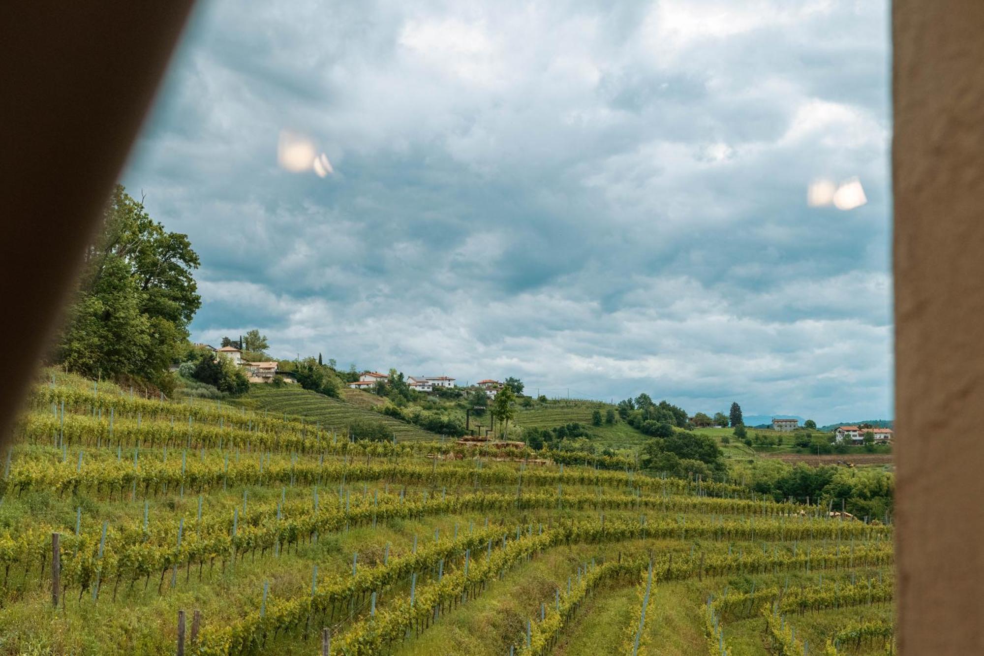 Bed and Breakfast Posestvo Scurek Wine Dobrovo Exterior foto
